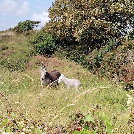 Ballyconneely House กัลเวย์ ภายนอก รูปภาพ