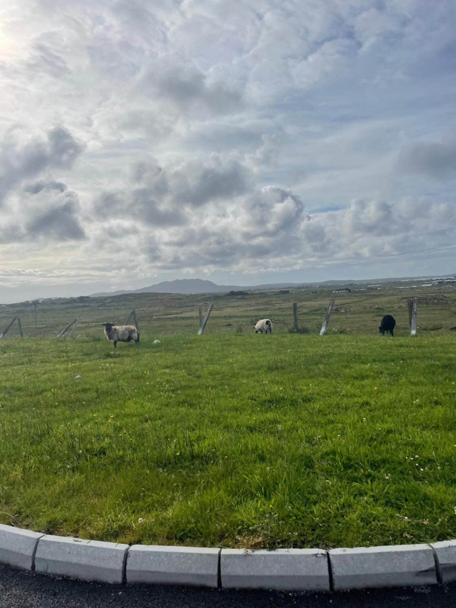 Ballyconneely House กัลเวย์ ภายนอก รูปภาพ